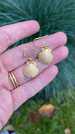 Gold Scallop Earrings