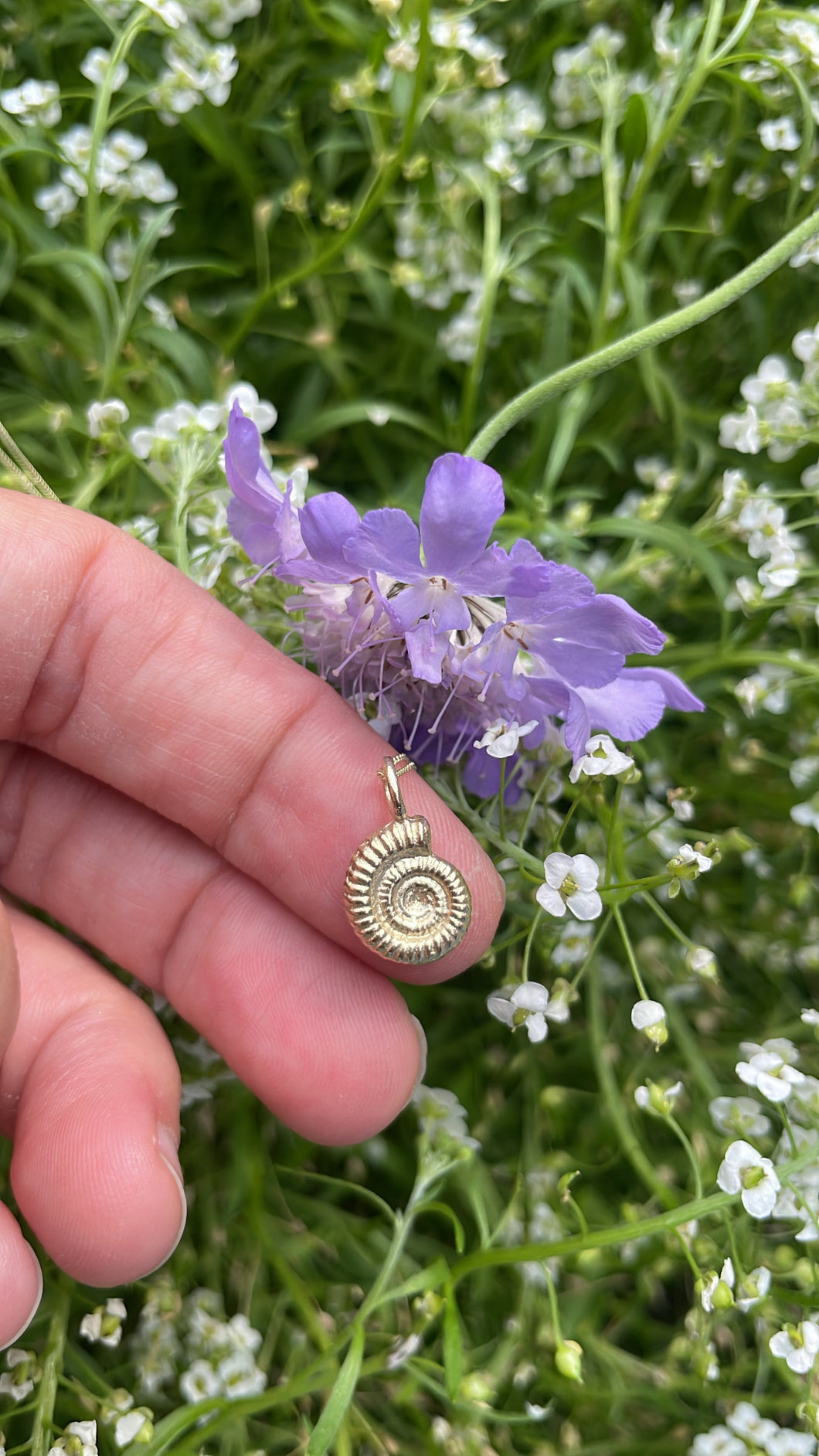 Gold 9ct Ammonite Shell Necklace