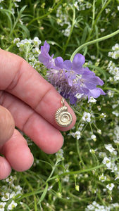 Gold 9ct Ammonite Shell Necklace